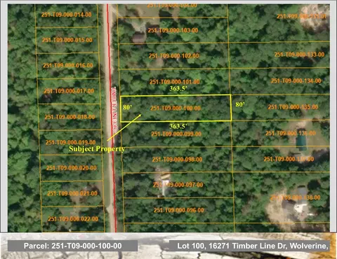 16271 Timberline Dr #LOT 100, Wolverine, MI 49799 photo 8