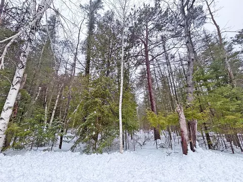 L 275-276 Lakehurst Drive #S 275 & 276, Presque Isle, MI 49777