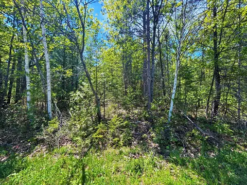 lot148 Pineview Dr, Presque Isle, MI 49777