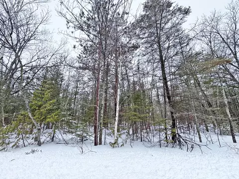 lot148 Pineview Dr, Presque Isle, MI 49777
