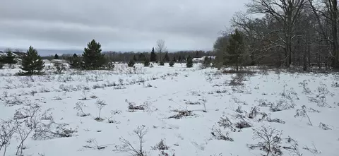 V/L 22.12A Country Village Lane #22.12 ACRES, Roscommon, MI 48653