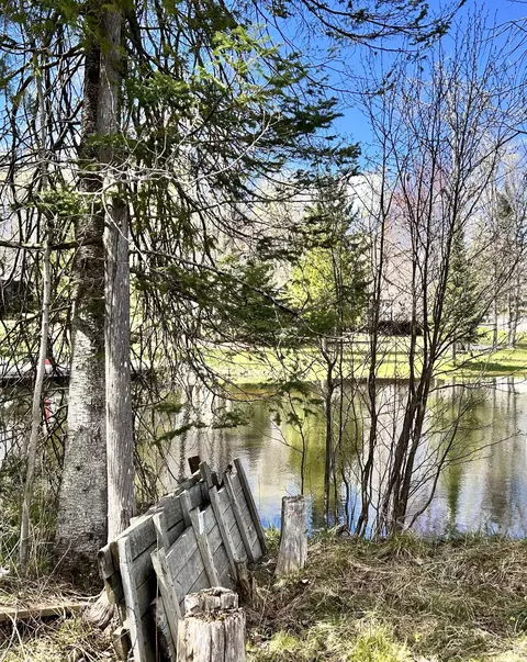 3472 High Pine Ct, Wolverine, MI 49799 photo 4