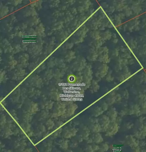 15182 Promenade Des Skieurs #LOT 41, Wolverine, MI 49799