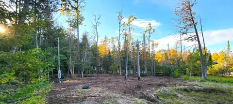 L 100-101 High Pine Court #S 100 & 101, Wolverine, MI 49799 photo 18
