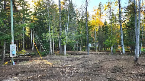 L 100-101 High Pine Court #S 100 & 101, Wolverine, MI 49799 photo 6