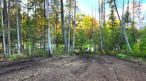 L 100-101 High Pine Court #S 100 & 101, Wolverine, MI 49799 photo 7