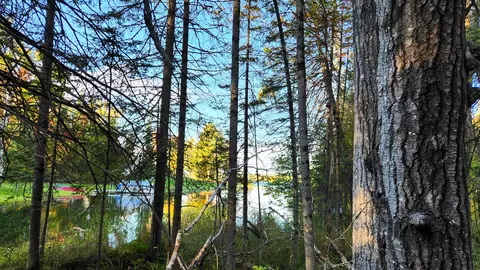 L 100-101 High Pine Court #S 100 & 101, Wolverine, MI 49799 photo 9