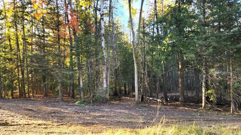 L 100-101 High Pine Court #S 100 & 101, Wolverine, MI 49799 photo 12