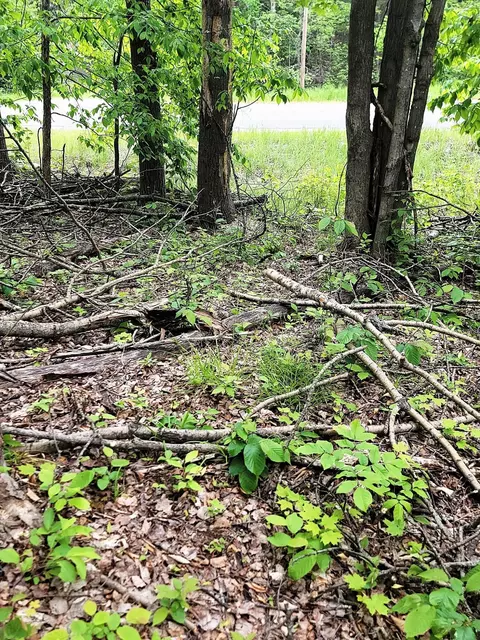lot58 Lance Lake Rd, Wolverine, MI 49799