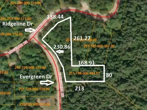 16844 Evergreen Dr, Wolverine, MI 49799