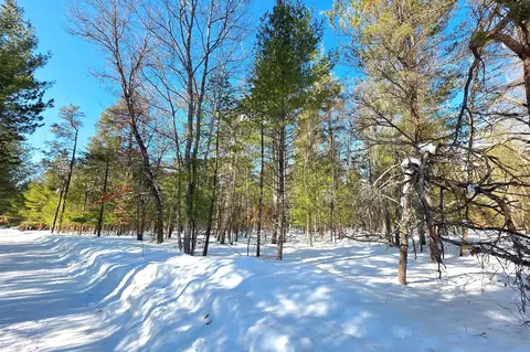 VL 20-29 Monroe Avenue #S 20-29 0.84 AC, Grayling, MI 49738