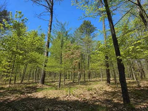 VL 20-29 Monroe Avenue #S 20-29 0.84 AC, Grayling, MI 49738