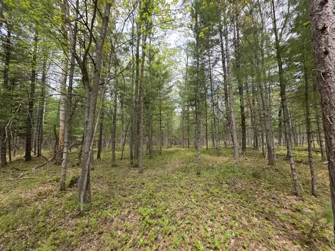 VL 20-29 Monroe Avenue #S 20-29 0.84 AC, Grayling, MI 49738
