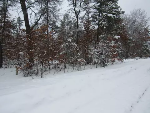 lot S 26-27 W Roberta Dr, Roscommon, MI 48653 photo 14