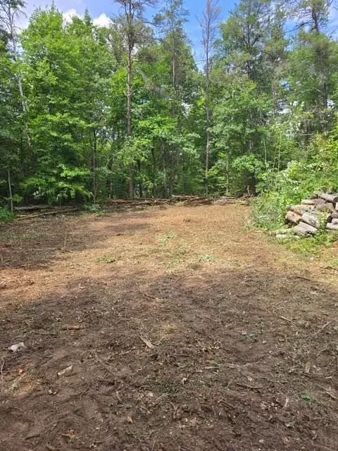 lot S 26-27 W Roberta Dr, Roscommon, MI 48653