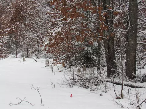 lot S 26-27 W Roberta Dr, Roscommon, MI 48653 photo 9