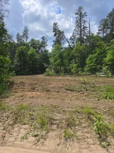 lot S 26-27 W Roberta Dr, Roscommon, MI 48653 photo 3