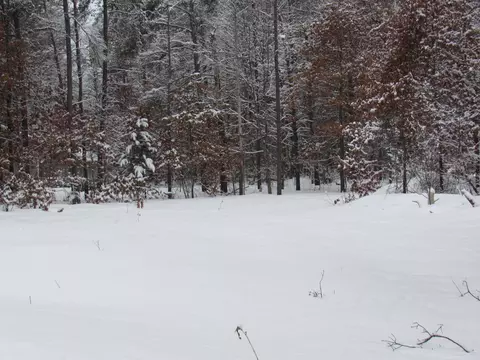 lot S 26-27 W Roberta Dr, Roscommon, MI 48653 photo 10