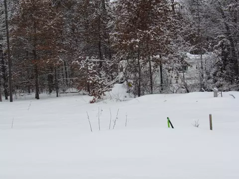lot S 26-27 W Roberta Dr, Roscommon, MI 48653 photo 7