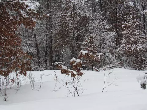 lot S 26-27 W Roberta Dr, Roscommon, MI 48653 photo 6