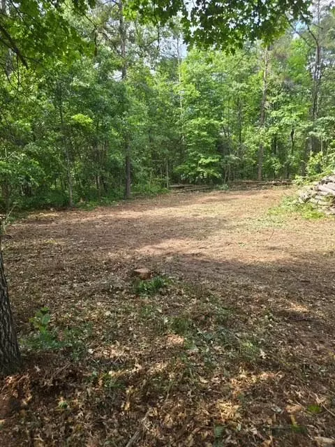 lot S 26-27 W Roberta Dr, Roscommon, MI 48653 photo 5