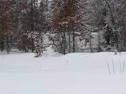 lot S 26-27 W Roberta Dr, Roscommon, MI 48653 photo 11