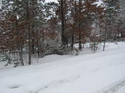 lot S 26-27 W Roberta Dr, Roscommon, MI 48653 photo 15