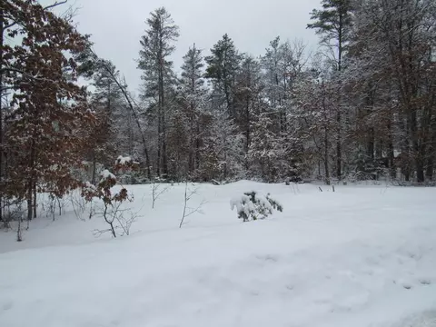 lot S 26-27 W Roberta Dr, Roscommon, MI 48653 photo 16