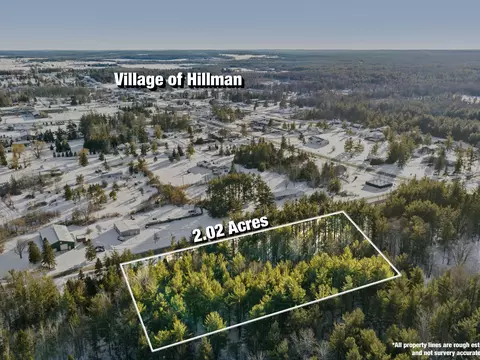 VL 2.02 AC Carrier Road #2.02 ACRES, Hillman, MI 49746
