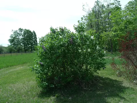 Exterior - 4355 W Burrows Rd, Wolverine, MI 49799 photo 15 of 30