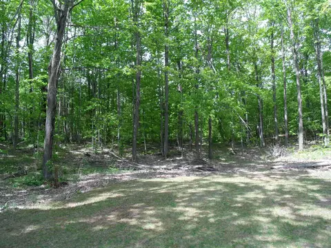 Exterior - 4355 W Burrows Rd, Wolverine, MI 49799 photo 21 of 30