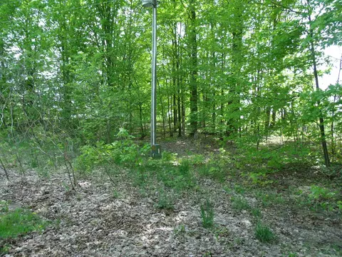 Exterior - 4355 W Burrows Rd, Wolverine, MI 49799 photo 20 of 30