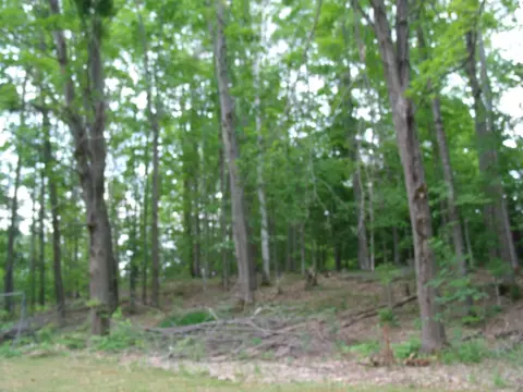 Exterior - 4355 W Burrows Rd, Wolverine, MI 49799 photo 18 of 30