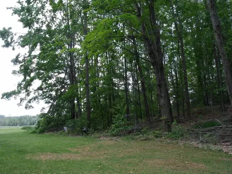 Exterior - 4355 W Burrows Rd, Wolverine, MI 49799 photo 19 of 30