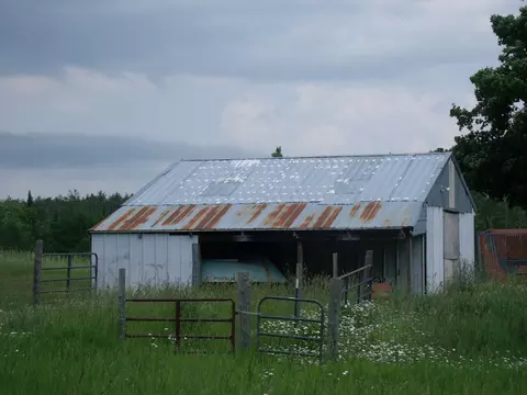 Exterior - 4355 W Burrows Rd, Wolverine, MI 49799 photo 12 of 30