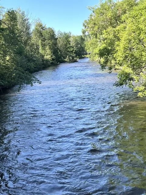 View/Area - 4355 W Burrows Rd, Wolverine, MI 49799 photo 1 of 3