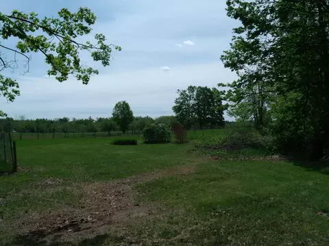 Exterior - 4355 W Burrows Rd, Wolverine, MI 49799 photo 14 of 30