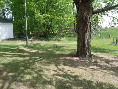 Exterior - 4355 W Burrows Rd, Wolverine, MI 49799 photo 23 of 30
