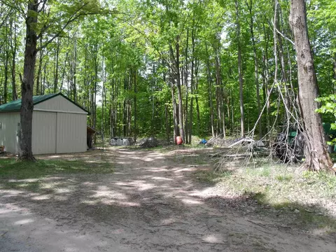 Exterior - 4355 W Burrows Rd, Wolverine, MI 49799 photo 24 of 30