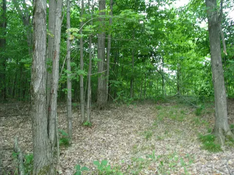Other - 4355 W Burrows Rd, Wolverine, MI 49799 photo 3 of 8