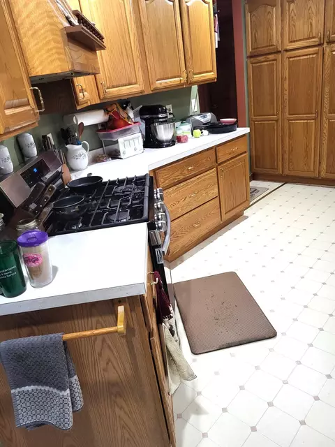 Kitchen - 4355 W Burrows Rd, Wolverine, MI 49799 photo 1 of 4