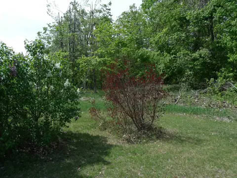 Exterior - 4355 W Burrows Rd, Wolverine, MI 49799 photo 16 of 30