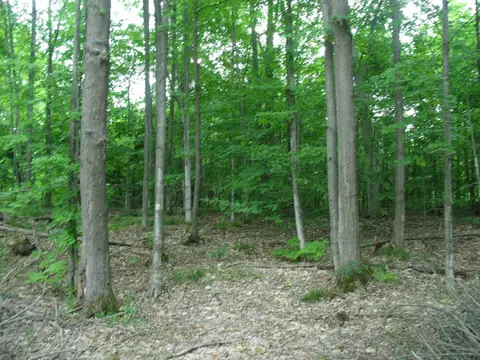 Other - 4355 W Burrows Rd, Wolverine, MI 49799 photo 4 of 8