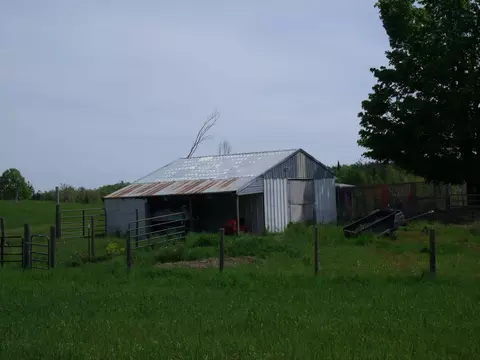 Exterior - 4355 W Burrows Rd, Wolverine, MI 49799 photo 11 of 30