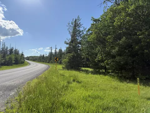 49 37 Ac Abbey N Black River Rd #49.37 ACRES, Cheboygan, MI 49721