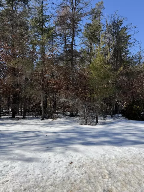 lot22 S Stephan Bridge Rd, Roscommon, MI 48653