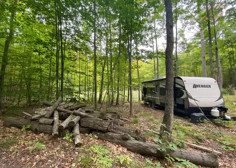 3059 N Weaver Rd, Fairview, MI 48621