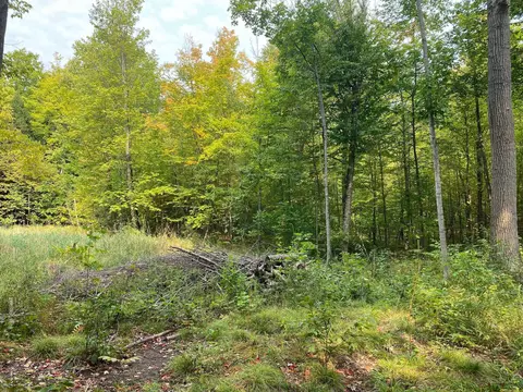 3059 N Weaver Rd, Fairview, MI 48621 photo 11