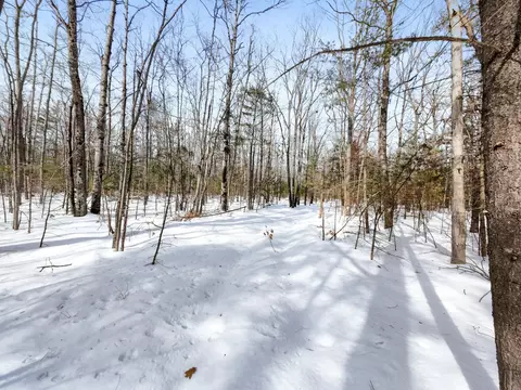6 0 Ac Ranch Rd, Topinabee, MI 49791