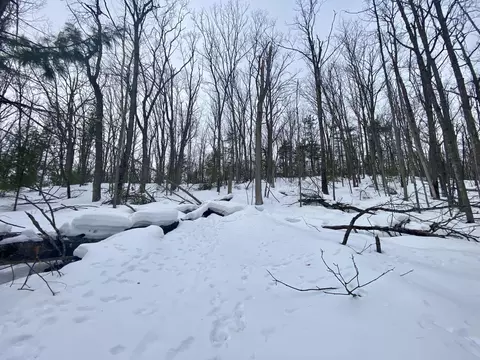 lot222 Fascination Dr, Frederic, MI 49733